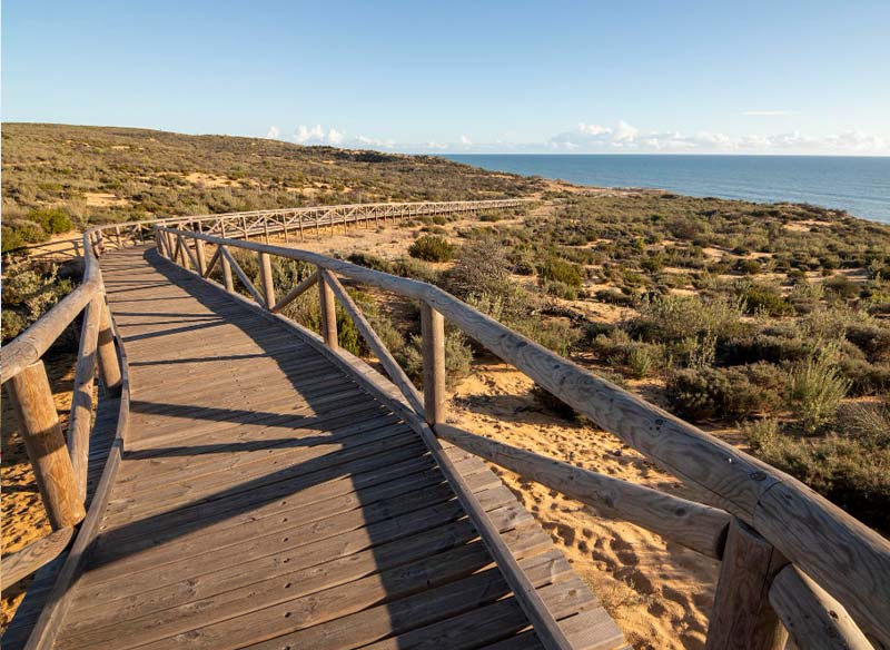 study Spanish in Spain