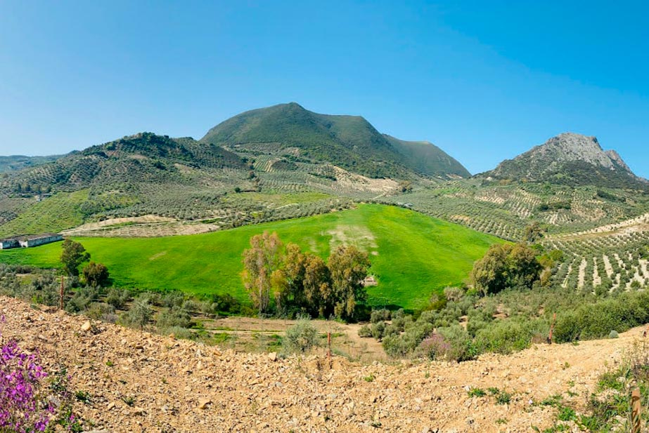 campamento ingles verano españa